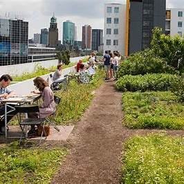 Meer over Rotterdam Klimaatadaptatie – Rotterdam Klimaatbestendig 2030