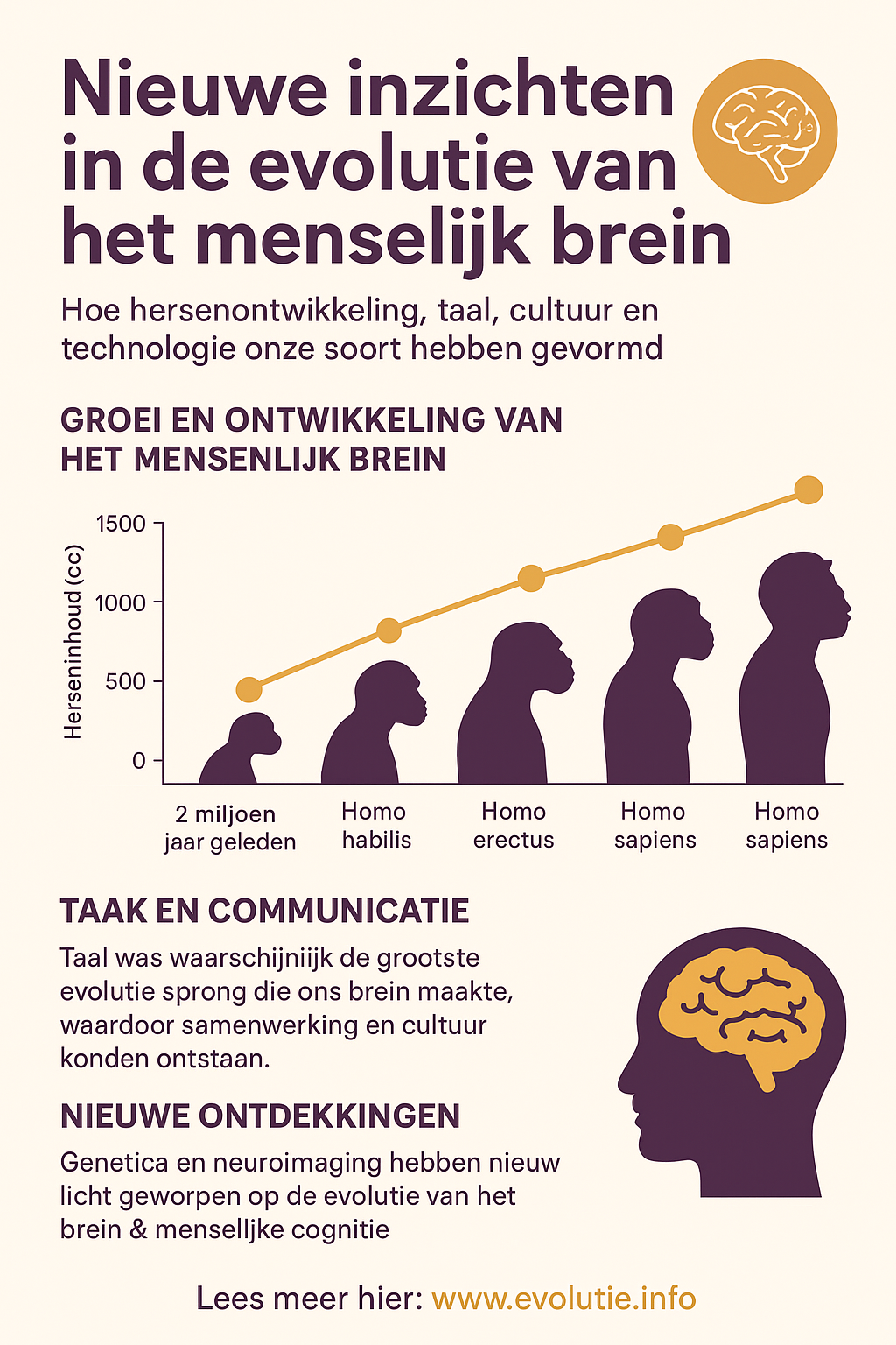 Nieuwe inzichten in de evolutie van het menselijk brein