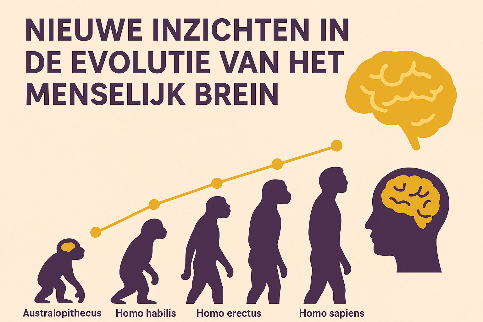 Niewuwe-inzichten-menselijk- brein