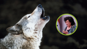 BBB-verkiezingscampagne 2025: Overwaarde Eigen Woning Niet Verder Belasten